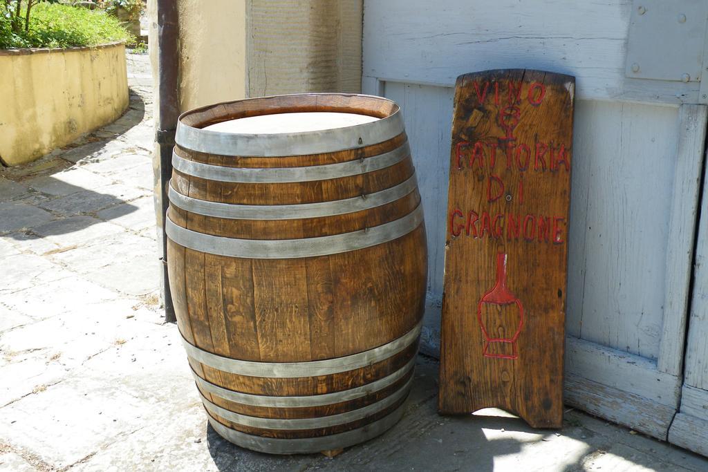 Agriturismo Fattoria Di Gragnoneゲストハウス エクステリア 写真