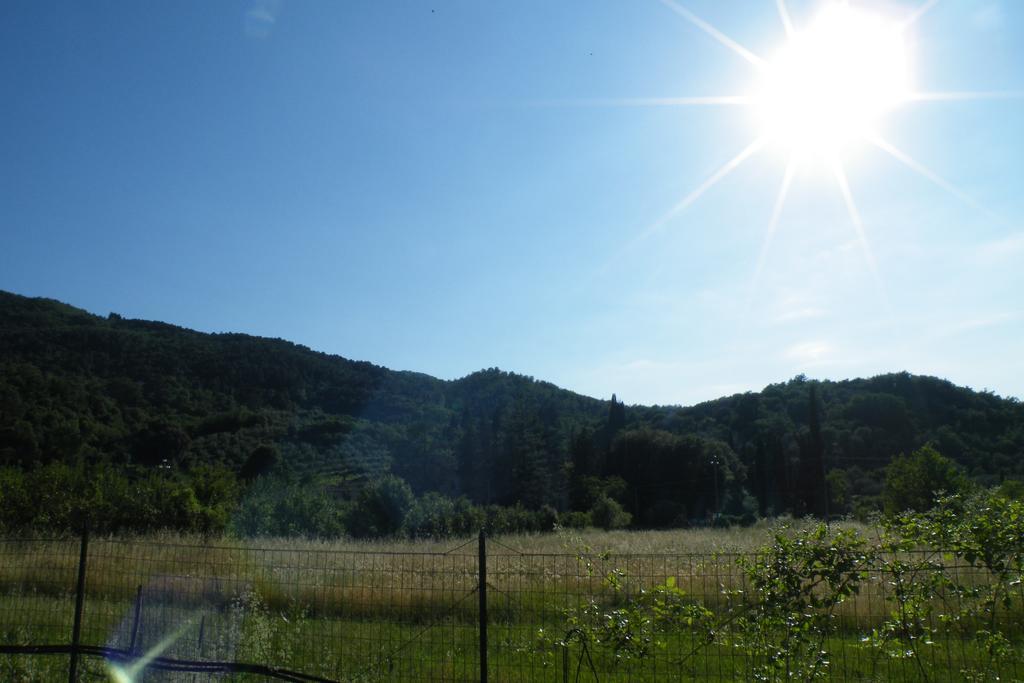 Agriturismo Fattoria Di Gragnoneゲストハウス エクステリア 写真
